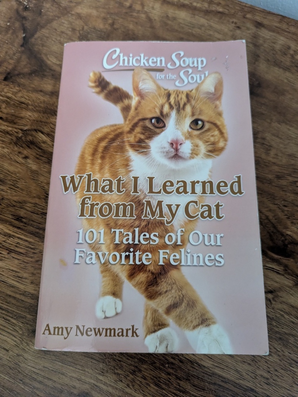 Chicken Soup for the Soul What I Learned From My Cat 101 Feline Tales